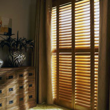 Door shutters